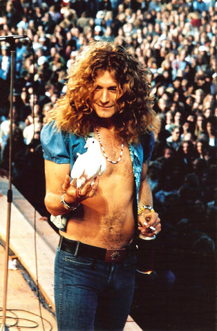 Robert Plant with Dove - James Fortune