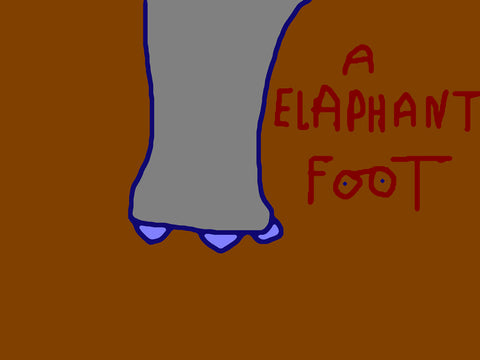 Elephant Foot - Ringo Starr