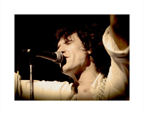 Ray Davies (The Kinks) - Scott Segelbaum